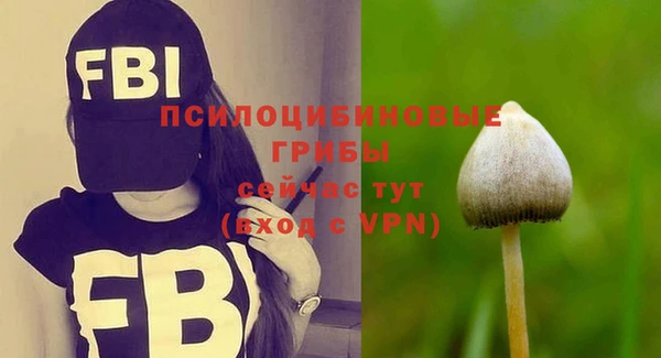 спайс Горнозаводск