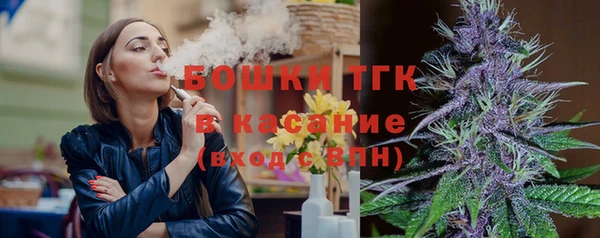винт Горно-Алтайск
