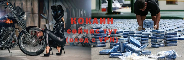 винт Горно-Алтайск
